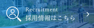 採用情報はこちら